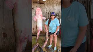 River MONSTER Flatheads on Bank Poles catfish fishing viral opelousasbankpoles [upl. by Gnek]