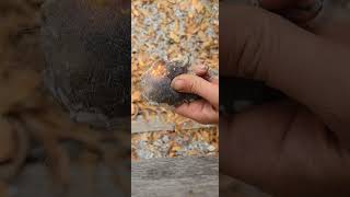 Demonstrating Flint and Steel with steel wool survivaloutdoors bushcraftcamp survivaltools [upl. by Eyatnod378]