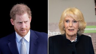 Hypocritical ratbag Prince Harry slammed after leaving Camilla hurt [upl. by Rimaj224]