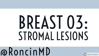 Slide Review Breast 03  Stromal Lesions [upl. by Acisey]