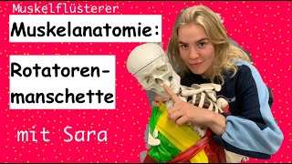 Die Muskeln der Rotatorenmanschette  Muskelflüsterer Anatomie [upl. by Gona561]