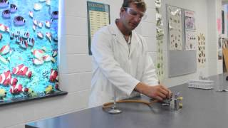 Bunsen Burner instructional video  How to use a bunsen burner [upl. by Cinamod546]