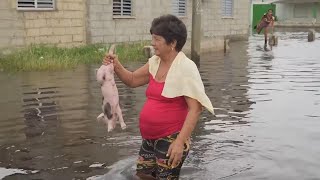 Cuba towns suffer from flooding and power shortages after Hurricane Helene [upl. by Nwavahs]