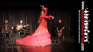 Flamenco Barcelona Para Eventos [upl. by Ocnarf]