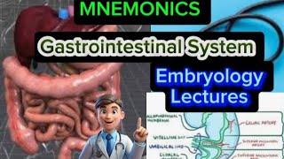 Gastrointestinal System Embryology lecture 43 Development of the Tongue [upl. by Sarson]