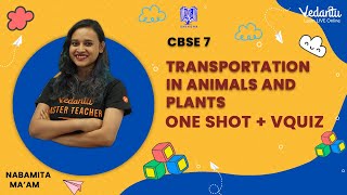 Transportation in Animals and Plants   One Shot  VQuiz  Nabamita Maam Vedantu Young Wonders [upl. by Chisholm]