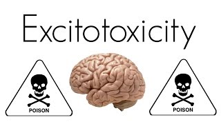 What is Excitotoxicity [upl. by Lohcin]