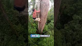 Gerçek Hayattaki Tarzan 😯 tarzanmovement  YTIG [upl. by Ameekahs]