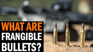 What Are Frangible Bullets with Army Ranger Dave Steinbach [upl. by Susumu]