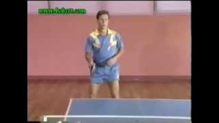 JO Waldners Tutorial of Table Tennis 12 [upl. by Ewall]