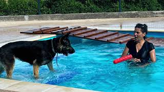 Piscine Canine  Session douverture 2024 [upl. by Germann]