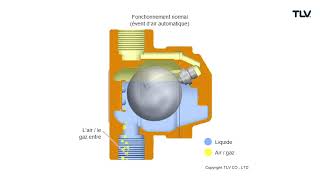 Fonctionnement en animation  Purgeurs dair automatiques VS1C [upl. by Portwin109]