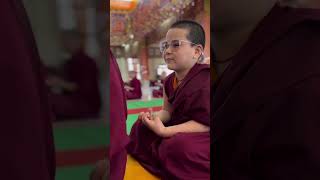 Cute Monks budddha buddhastory buddhaquotes monkslife [upl. by Keeler]