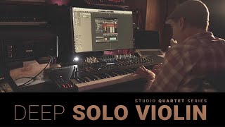 8Dio Studio Quartet  Studio Violin  Live Legato Demo [upl. by Nork768]