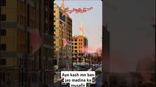 aye Kash mn ban Jao Madina ka musafirviralnaat beautifullnaat unfrezzmyaccount viralreels video [upl. by Anura183]