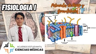 FISIOLOGÍA I  POTENCIALES DE ACCIÓN Y GENERALIDADES [upl. by Montague]