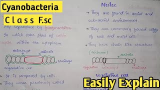 Cyanobacteria In Urdu  Class 11 Biology [upl. by Spiegleman]