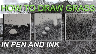 How to Draw Grass Tutorial in Ink Pen three step by step drawing examples [upl. by Ellimahs]