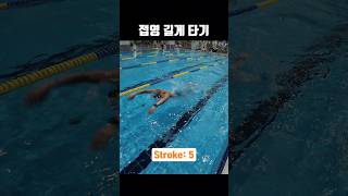 접영 길게 타기 훈련 수영 swimming 수린이 글라이딩 Gliding [upl. by Penland]