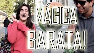 MÁGICA BARATA [upl. by Abeu]