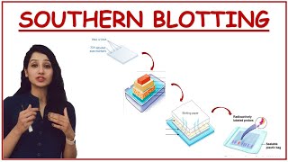 SOUTHERN BLOTTING I Tools amp Techniques I Methods in Biology [upl. by Dauf497]