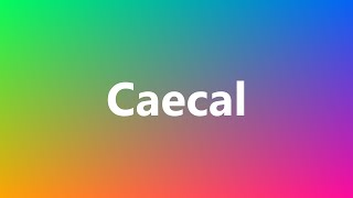 Caecal  Medical Meaning and Pronunciation [upl. by Analaj]