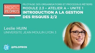 Introduction à la gestion des risques 22 [upl. by Dewees]