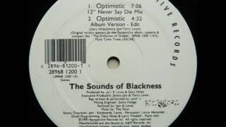 Sounds Of Blackness  Optimistic [upl. by Ploch]