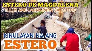 ESTERO DE MAGDALENA NAGBABAGONG KULAY NA [upl. by Jeunesse7]