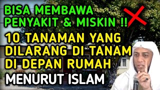 HATIHATI  INILAH 10 TANAMAN YANG DILARANG DITANAM DIDEPAN RUMAH MENURUT ISLAM [upl. by Linnet]