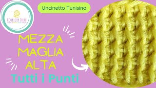 Mezza Maglia Alta  TUTTI I PUNTI TUNISINI [upl. by Sabu]