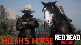 Baylock Micahs Horse in Red Dead Online [upl. by Marketa683]