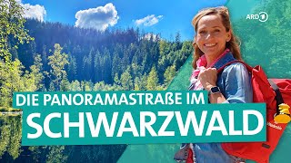 Der Schwarzwald – Von Freudenstadt über die Hochstraße nach BadenBaden  ARD Reisen [upl. by Chanda730]