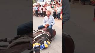 Horse 🐎 training video horse caballos musica animals ytshorts shorts [upl. by Sitruk]