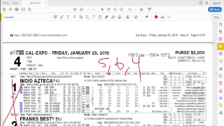 Mr Trifectas Harness Racing Handicapping 101 [upl. by Festatus]