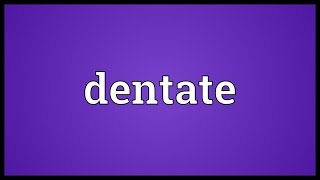 Dentate Meaning [upl. by Klusek]