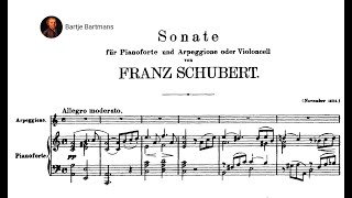 Franz Schubert  Arpeggione Sonata D821 1824 Bijlsma [upl. by Nappy]