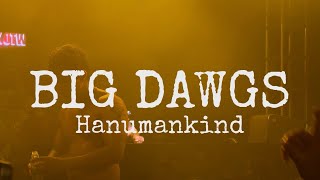 Big Dawgs  Hanumankind  Live performance at Sunburn Union [upl. by Leann450]