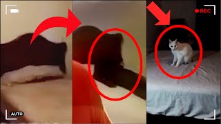 Most Frightening Ghost Videos CAUGHT on Camera And Heres Why [upl. by Okire393]