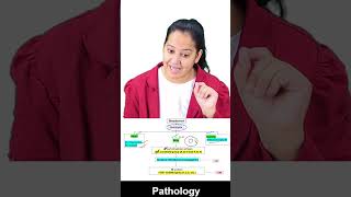 1 minute learning Streptococcus Classification [upl. by Biegel]