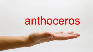 How to Pronounce anthoceros  American English [upl. by Sang]