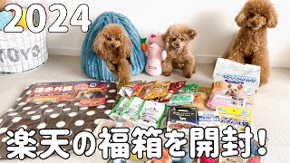 【2024楽天の福箱】福箱を買ったら今年も躍動感溢れる愛犬の姿が見れました [upl. by Maryjo758]