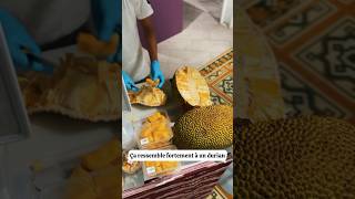 On teste le jacquier en famille un fruit de Malaisie très proche de du Durian visuellement [upl. by Kcirtapnhoj222]