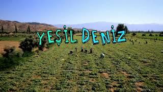 KAYBOLALIM  YEŞİL DENİZ DİZİSİ FON MÜZİĞİ [upl. by Nerw]