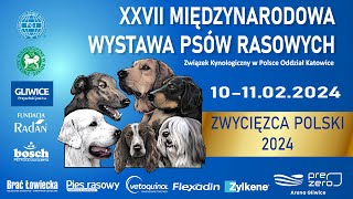 XXVII Międzynarodowa Wystawa Psów Rasowych oddział Katowice  Sobota CZ1 [upl. by Leahcim169]