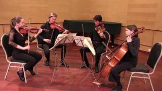 Agitato String Quartet Smetana quartet no1 3rd mov [upl. by Ogilvie]