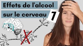 Les effets de lalcool sur le cerveau PARTIE 1 [upl. by Laetitia]