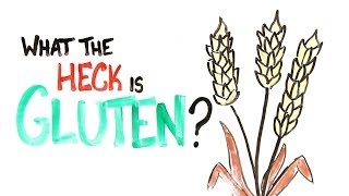 What The Heck Is Gluten [upl. by Ahsotan227]