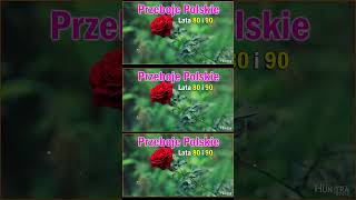 Polskie przeboje 🎹 100 Najlepszych Piosenek 🎹 Najpopularniejsze Polskie Piosenki Wszechczasów [upl. by Suiraj930]