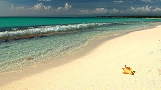 Relaxing Music with Gentle Ocean Sounds Soothing Waves and Peaceful Music [upl. by Eniroc]